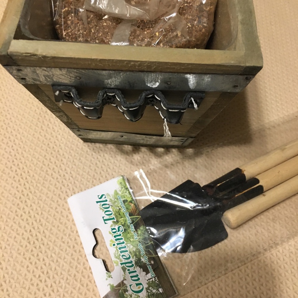Herb Garden Wood Window Box With Tools NIP - Picture 2 of 6